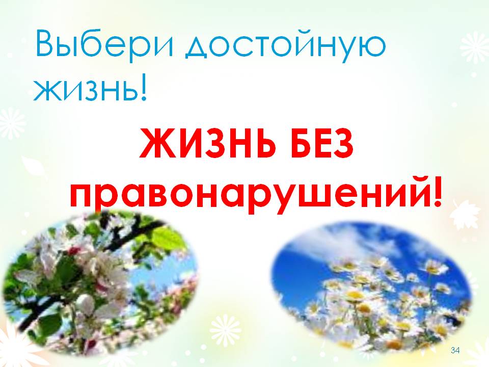 «Закон не любит, когда его нарушают!».