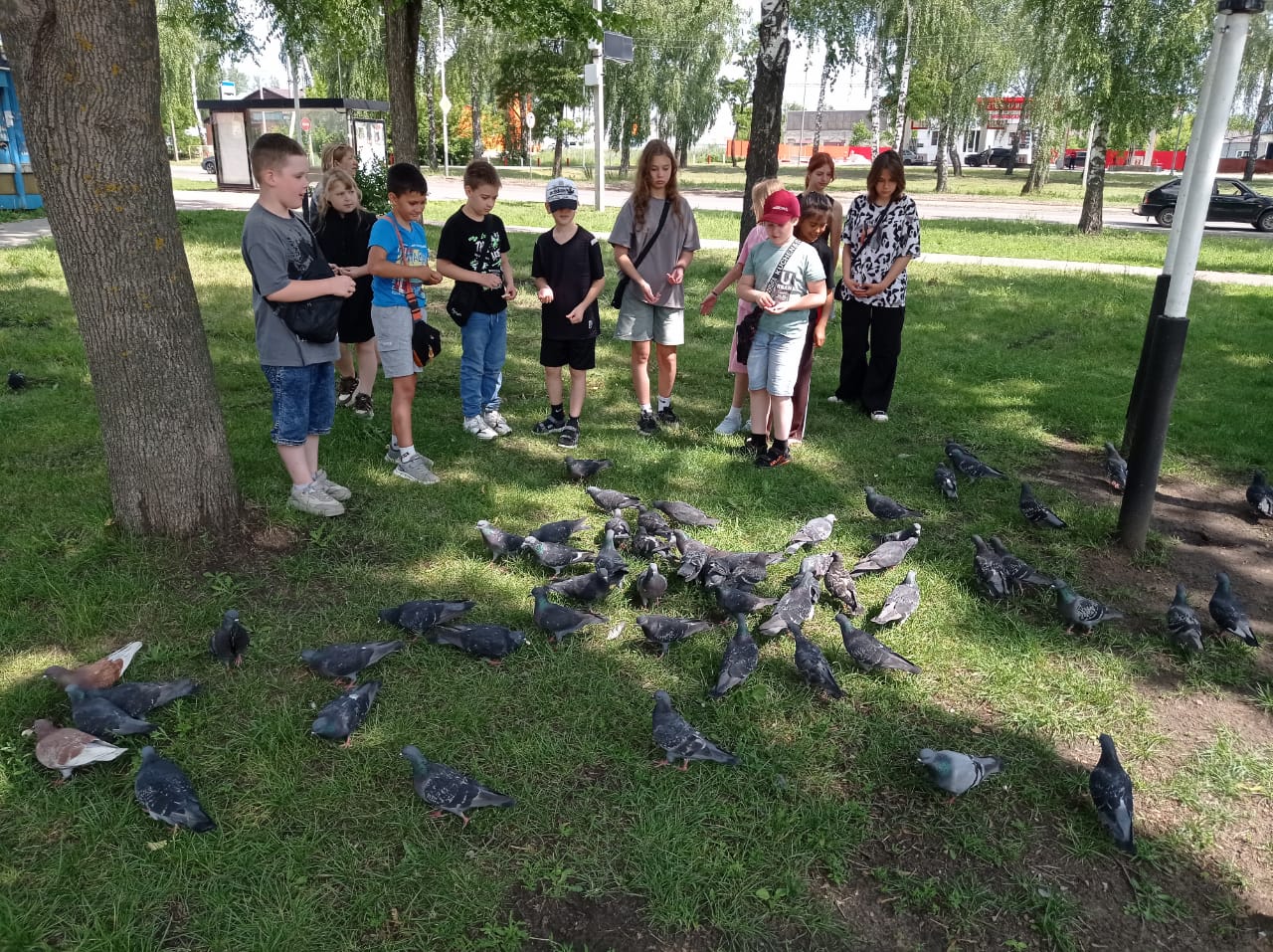 В лагере «Сюрприз»: день добра.