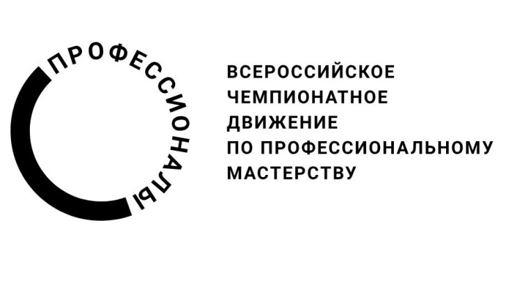 Участие в Чемпионате по профессиональному мастерству «Профессионалы».